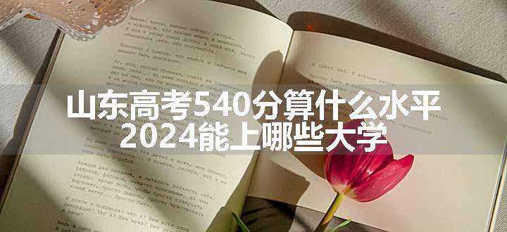 山东高考540分算什么水平 2024能上哪些大学