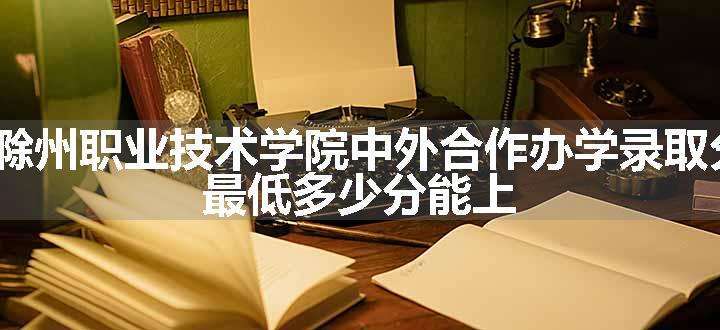 2023滁州职业技术学院中外合作办学录取分数线 最低多少分能上