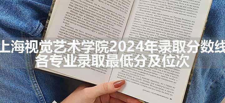 上海视觉艺术学院2024年录取分数线 各专业录取最低分及位次