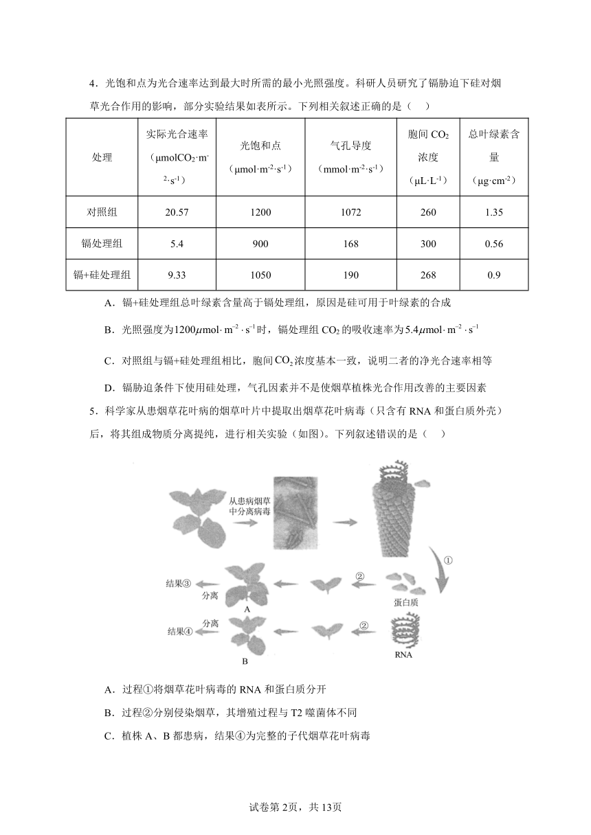 湖南省益阳市安化县第二中学2024年高三生物考前模拟考试（含答案）