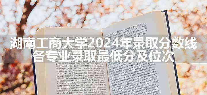 湖南工商大学2024年录取分数线 各专业录取最低分及位次