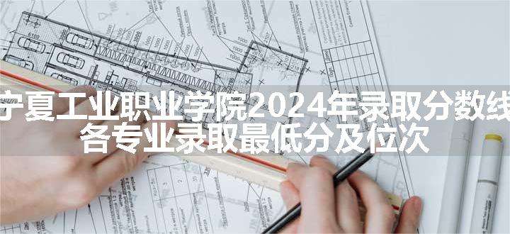 宁夏工业职业学院2024年录取分数线 各专业录取最低分及位次