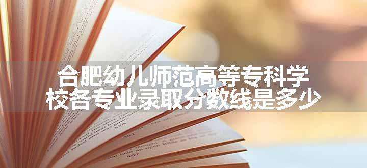 合肥幼儿师范高等专科学校各专业录取分数线是多少