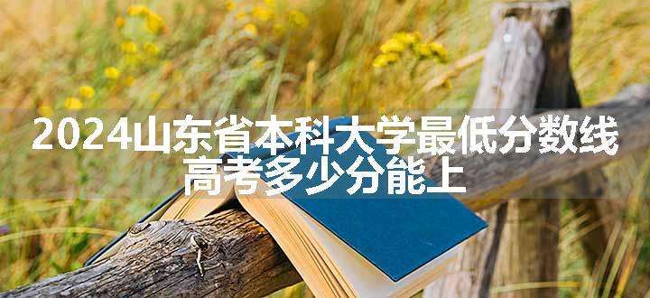 2024山东省本科大学最低分数线 高考多少分能上