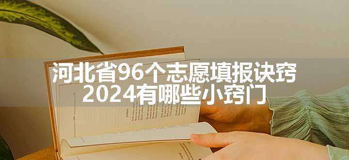 河北省96个志愿填报诀窍 2024有哪些小窍门