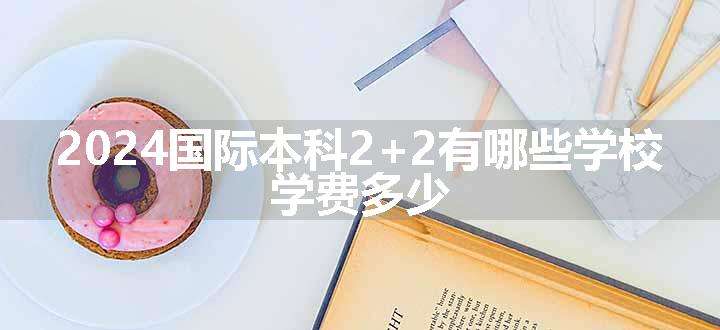 2024国际本科2+2有哪些学校 学费多少