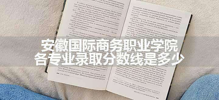 安徽国际商务职业学院各专业录取分数线是多少