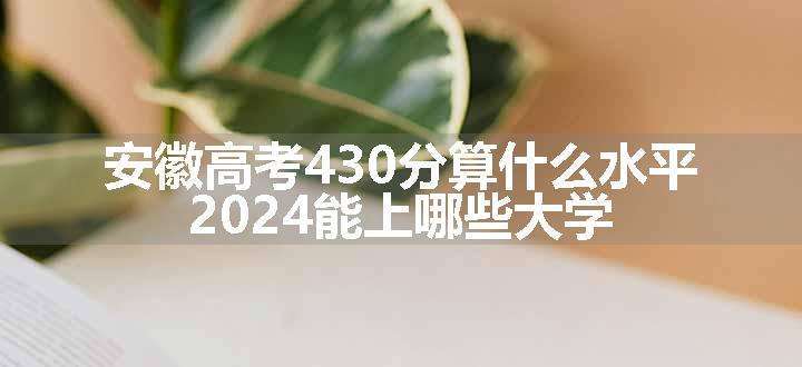 安徽高考430分算什么水平 2024能上哪些大学