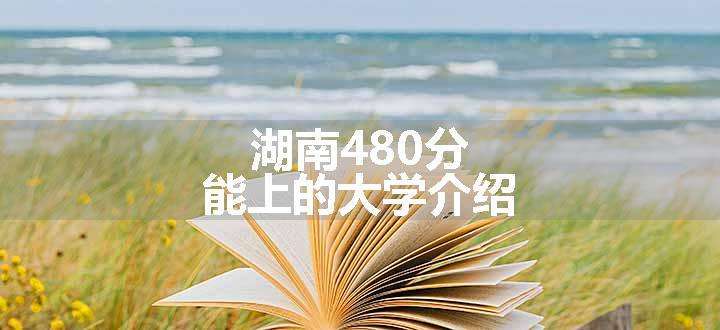 湖南480分能上的大学介绍