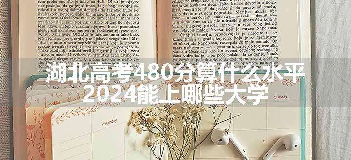 湖北高考480分算什么水平 2024能上哪些大学