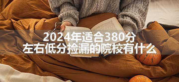 2024年适合380分左右低分捡漏的院校有什么