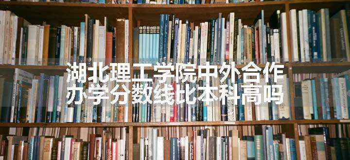 湖北理工学院中外合作办学分数线比本科高吗