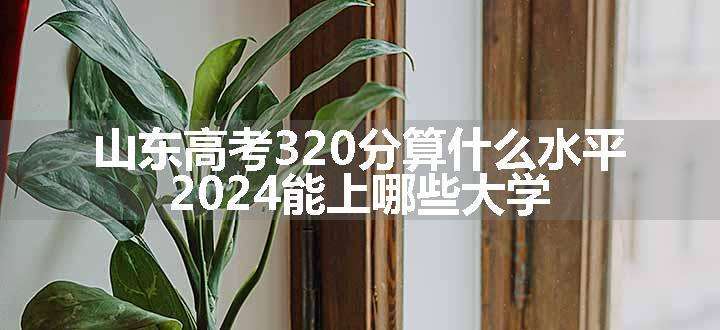 山东高考320分算什么水平 2024能上哪些大学