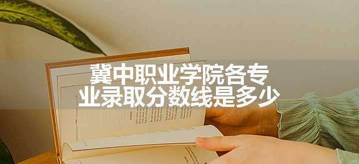 冀中职业学院各专业录取分数线是多少