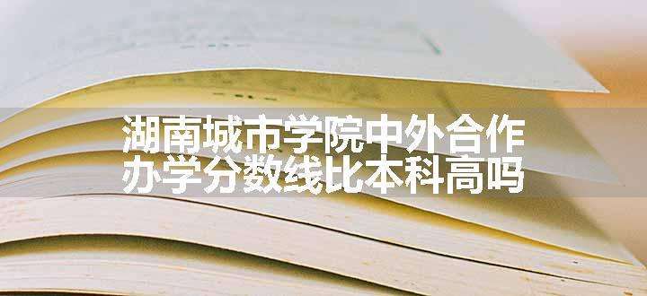 湖南城市学院中外合作办学分数线比本科高吗