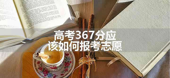 高考367分应该如何报考志愿