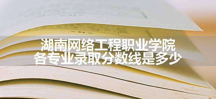 湖南网络工程职业学院各专业录取分数线是多少