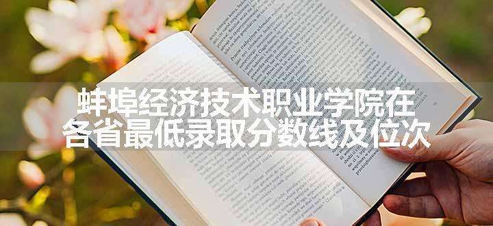 蚌埠经济技术职业学院在各省最低录取分数线及位次