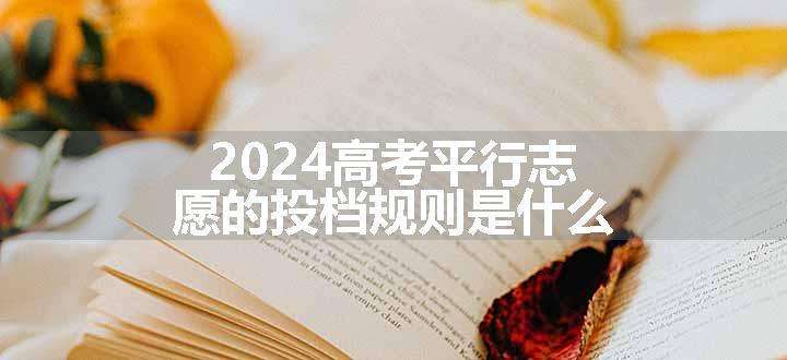 2024高考平行志愿的投档规则是什么