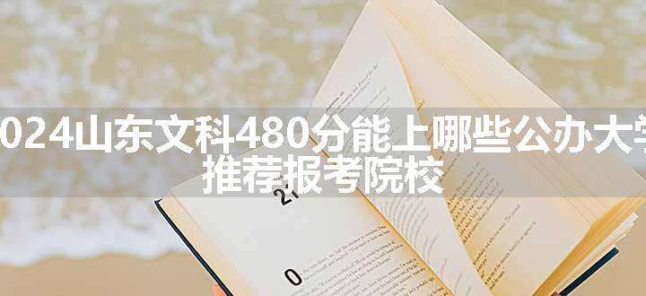 2024山东文科480分能上哪些公办大学