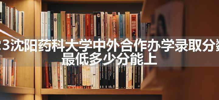 2023沈阳药科大学中外合作办学录取分数线 最低多少分能上