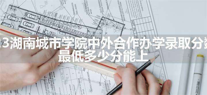 2023湖南城市学院中外合作办学录取分数线 最低多少分能上