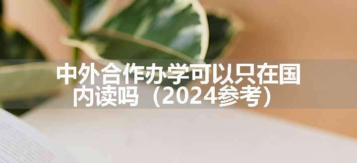 中外合作办学可以只在国内读吗（2024参考）