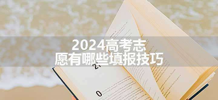 2024高考志愿有哪些填报技巧