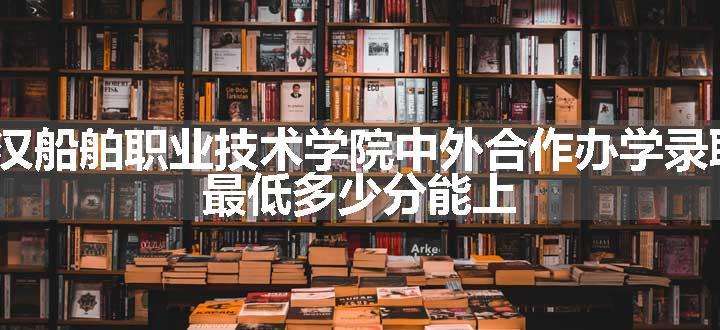 2023武汉船舶职业技术学院中外合作办学录取分数线 最低多少分能上