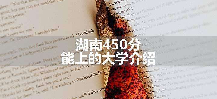 湖南450分能上的大学介绍