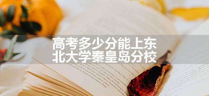 高考多少分能上东北大学秦皇岛分校