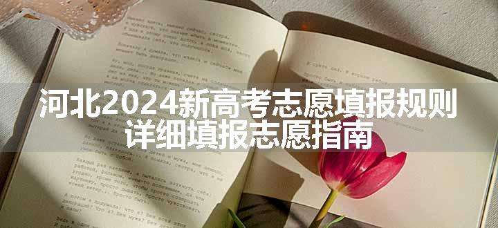 河北2024新高考志愿填报规则 详细填报志愿指南