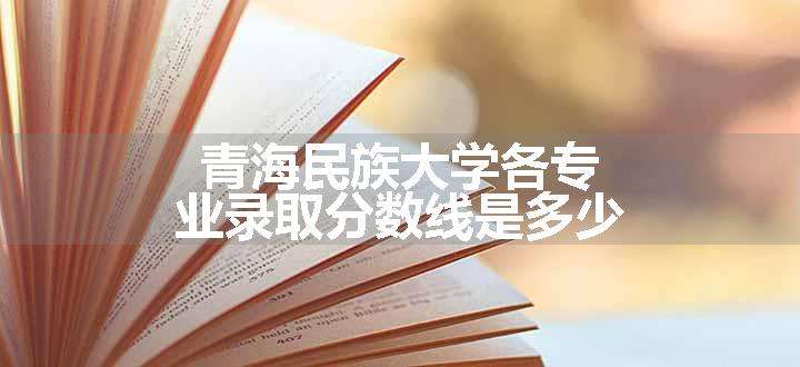 青海民族大学各专业录取分数线是多少