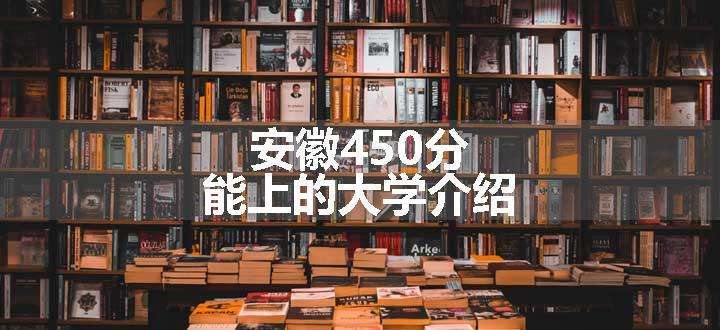 安徽450分能上的大学介绍