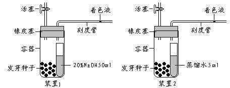 在科学研究中常用呼吸商（RQ=释放的CO2体积/消耗的氧气体积）表示生物用于有氧呼吸的能源物质不同。测定...