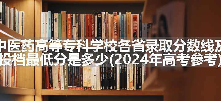 保山中医药高等专科学校各省录取分数线及位次 投档最低分是多少(2024年高考参考)