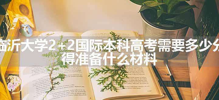 临沂大学2+2国际本科高考需要多少分 得准备什么材料