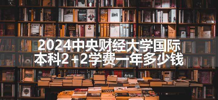 2024中央财经大学国际本科2+2学费一年多少钱