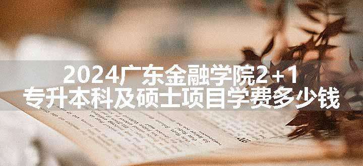 2024广东金融学院2+1专升本科及硕士项目学费多少钱