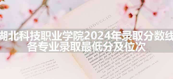 湖北科技职业学院2024年录取分数线 各专业录取最低分及位次