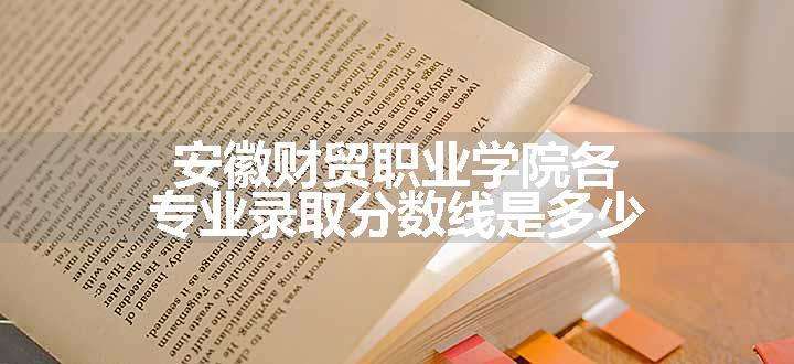 安徽财贸职业学院各专业录取分数线是多少