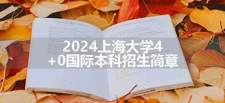 2024上海大学4+0国际本科招生简章