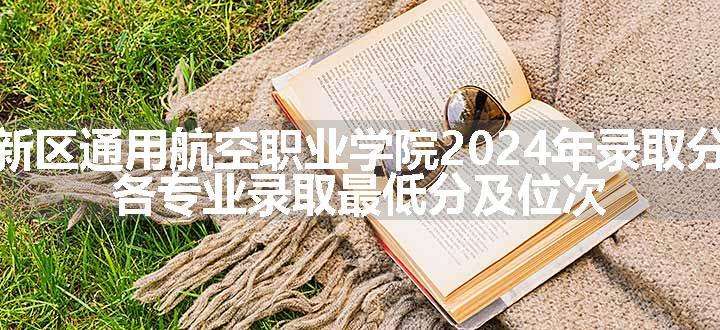 天府新区通用航空职业学院2024年录取分数线 各专业录取最低分及位次