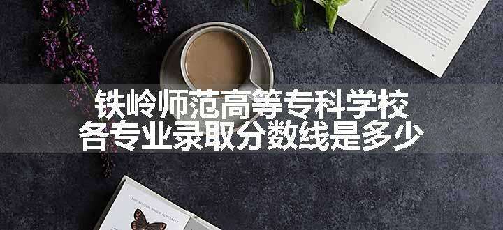 铁岭师范高等专科学校各专业录取分数线是多少