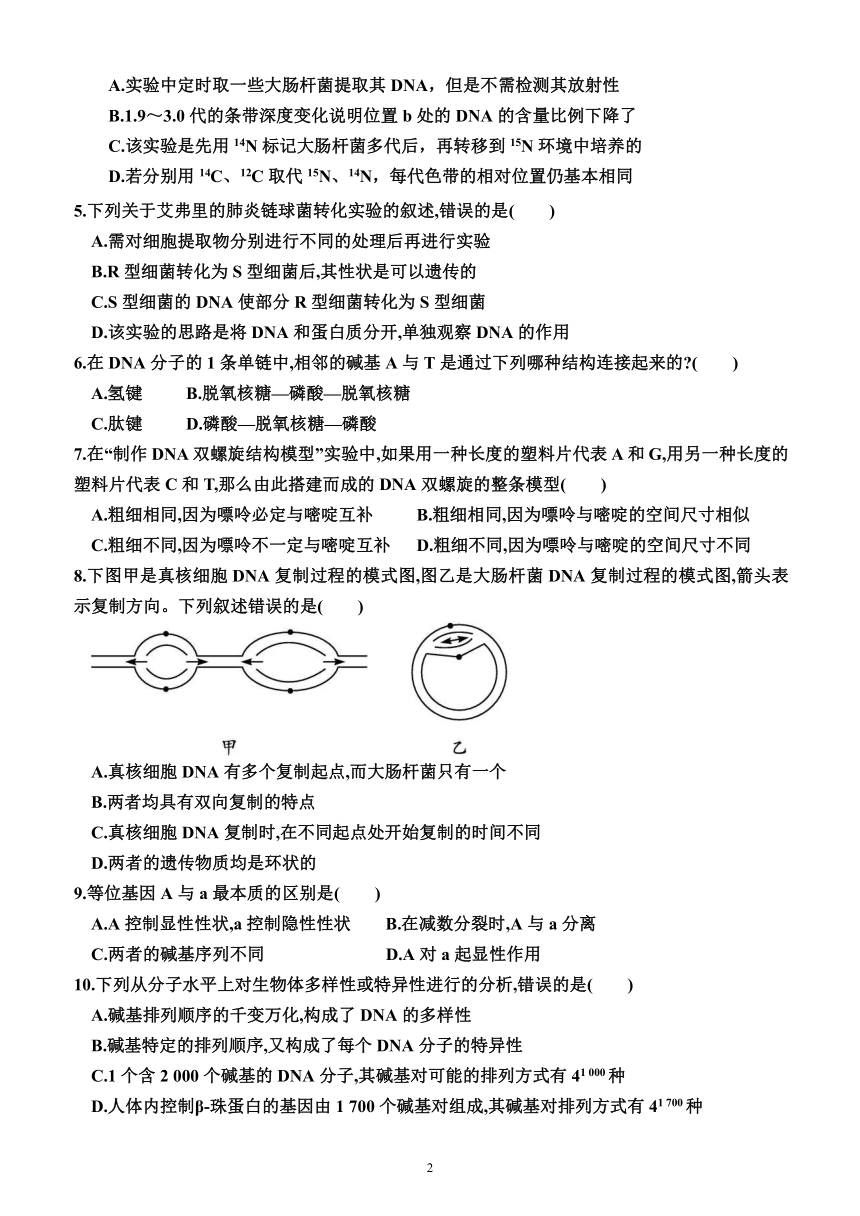 第三章 基因的本质（单元测试）（附答案）—2023-2024学年高一下学期生物必修2（人教版(2019））