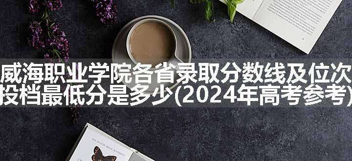 威海职业学院各省录取分数线及位次 投档最低分是多少(2024年高考参考)