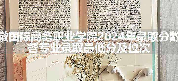 安徽国际商务职业学院2024年录取分数线 各专业录取最低分及位次