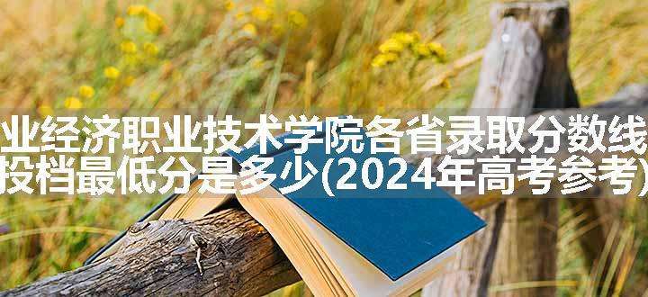 安徽工业经济职业技术学院各省录取分数线及位次 投档最低分是多少(2024年高考参考)