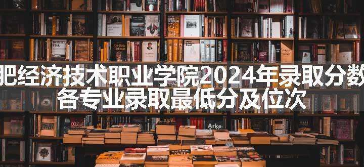 合肥经济技术职业学院2024年录取分数线 各专业录取最低分及位次