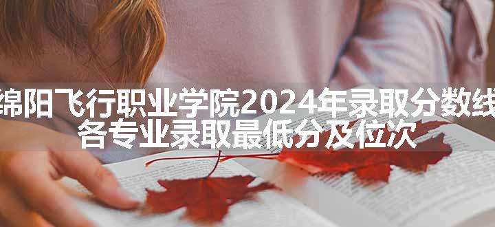 绵阳飞行职业学院2024年录取分数线 各专业录取最低分及位次